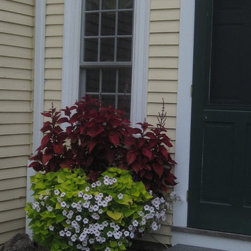 Entry planter