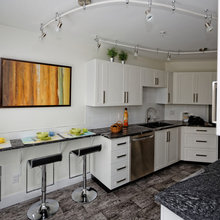 Silver Fox Contemporary Kitchen