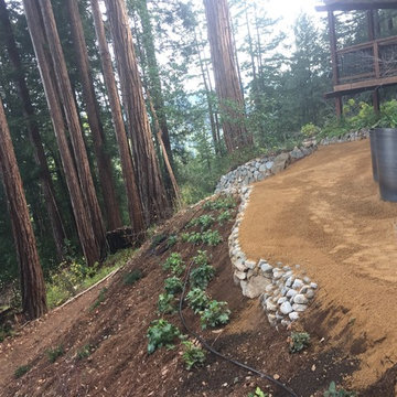 View Back Towards the House