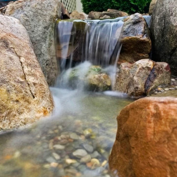 Renovating an Old Pond