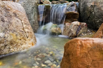 Inspiration for a landscaping in Other.