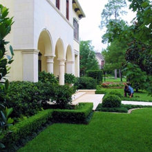 Walid Landscape
