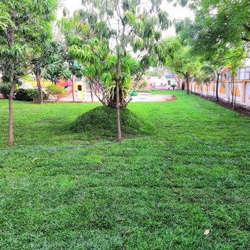 Corporation Landscape service