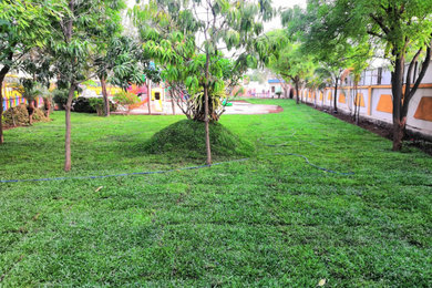This is an example of an asian landscaping in Mumbai.