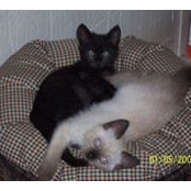 Laura Burnette's photo
