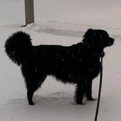 Carlotta Moulder's photo