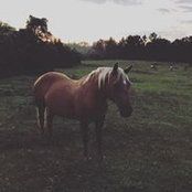 Tori Edwards's photo