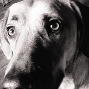 Glenna Rogers's photo