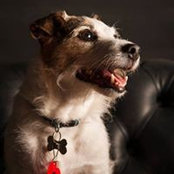 Claire Temperley's photo