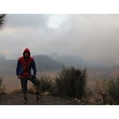 Artby Dhimathera's photo