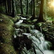 Foto von Bethany Thurman