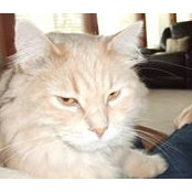 Betty Mauer's photo