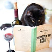 Cat Tolentino's photo