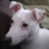 Deborah Lettis's photo