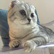 Lis YI's photo