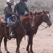 SylviaJoel Nelson's photo
