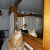 Nora Wilt's photo