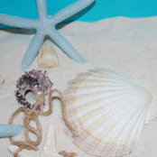Lynn Bray's photo