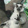 marney_smith