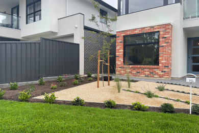 Kleiner Moderner Vorgarten mit direkter Sonneneinstrahlung in Adelaide