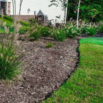 Backyard Transformation