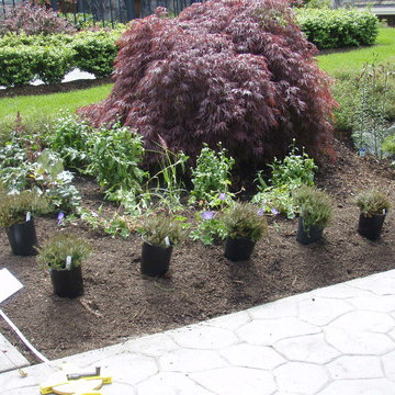Drought Tolerant Landscape