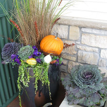 Fall Decor