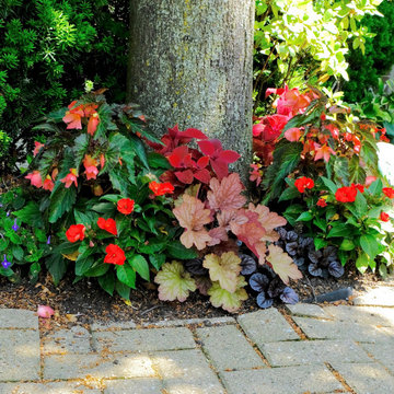Summer Containers
