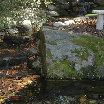 Ponds and Water Features