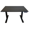 Rise Up Bamboo Electric Adjustable Height Office Desk, Black + Black Bamboo