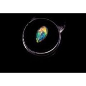 Conrad Dreczko's photo