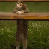 Patti Blagg's photo