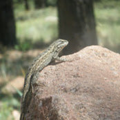 Russell Nash's photo