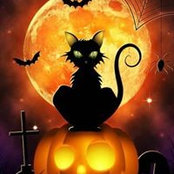 Dorsey Witkowski's photo