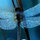 webuser_923015