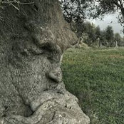 Suzanne Bennett's photo