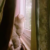 Pol Quangさんの写真