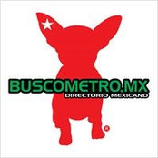 Buscometro Mexicano's photo
