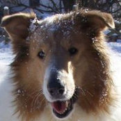 Foto von Anne Darr