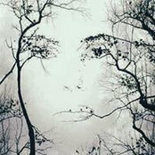 Foto von Cherin Saxe