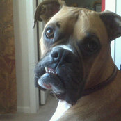 Sue Callahan's photo