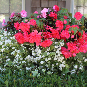 Window Boxes / Containers