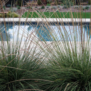 Rancho Santa Fe Sanctuary