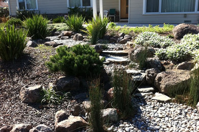 Photo of a large asian front yard full sun formal garden in San Francisco with gravel.
