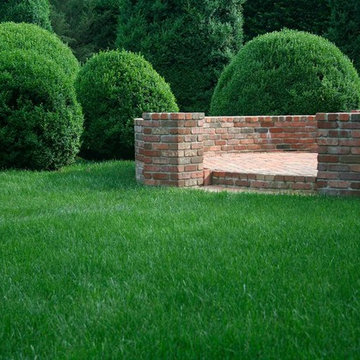 evergreen