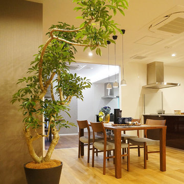 Plants.L
