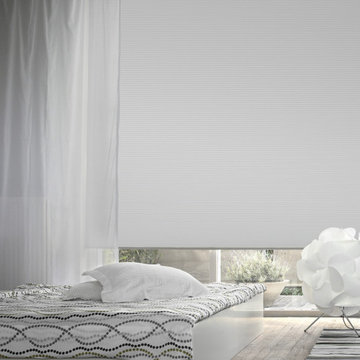 Pleated shades + blinds