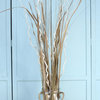 Waterlook® Corkscrew Willow and Grass with Sand and Shells in Glass