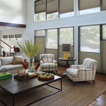 Hunter Douglas Duette Honeycomb Shades