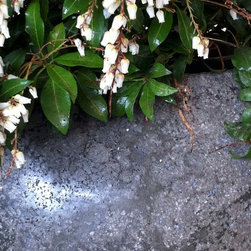 concrete pots - Products